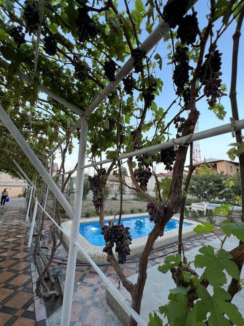 Samarabonu Hotel 사마르칸트 외부 사진